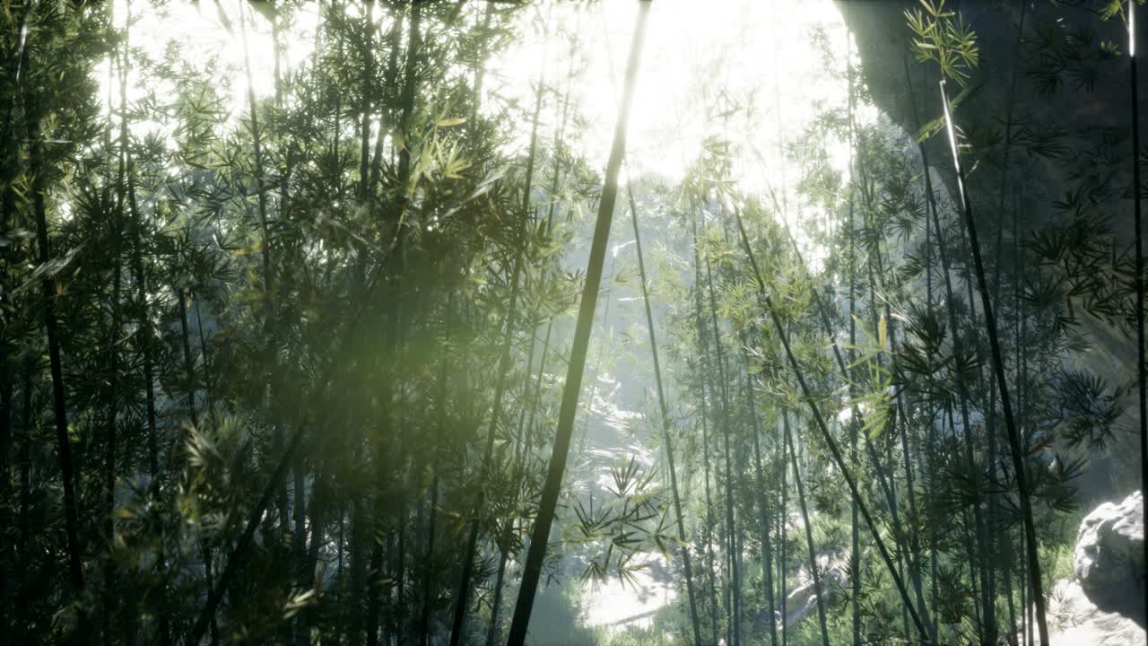 hojas verdes exuberantes de bambú cerca de la orilla de un estanque con piedras.