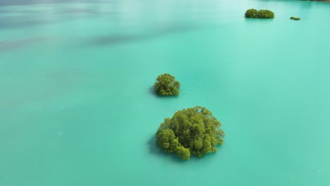 Lake-Tekapo-turquoise-glacial-water-with-semi-submerged-trees,-aerial