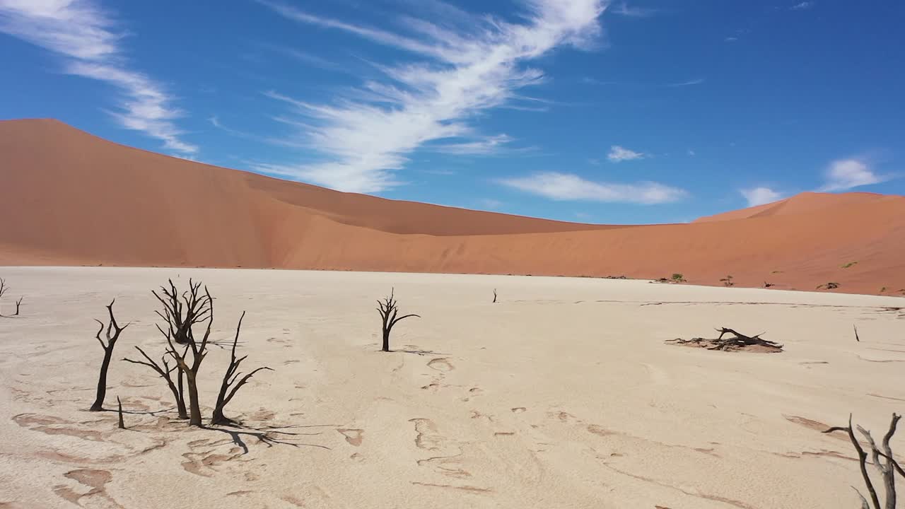 Beautiful close up tracking shot of the Deadvlei