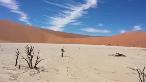 Hermosa-Toma-De-Seguimiento-De-Primer-Plano-Del-Deadvlei