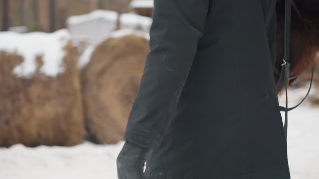 관리인이 말과 함께 눈길을 걷고 있어요. 말과 관리인이 함께하는 쌀쌀한 날씨입니다. 눈 덮인 풍경과 농장 구조물 속에서 안장을 얹은 말을 동반하는 조련사가 있는 평온한 겨울 풍경입니다.