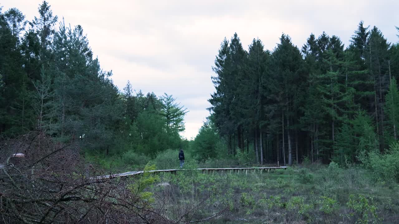 숲 을 가로질러 나무 로 된 길 을 따라 산책 하는 사람