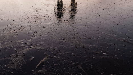 Closeup-of-beach-at-sunset