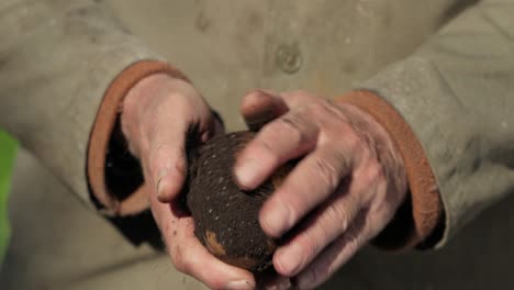 Farmer-inspects-his-crop-of-potatoes-hands-stained-with-earth.