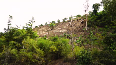 Parcela-De-Terreno-Montañoso-Despejado-Para-Fines-Agrícolas,-Vietnam