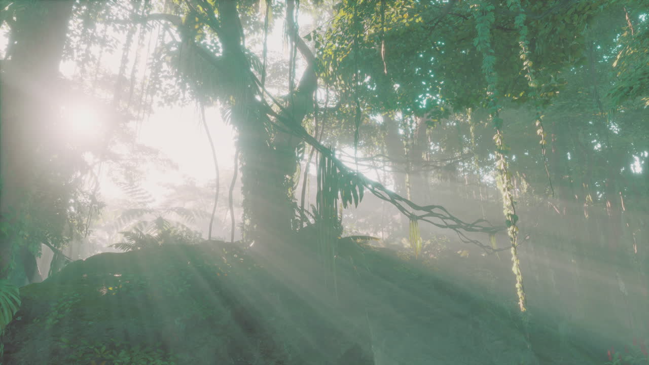동남아시아 의 깊은 열대 정글