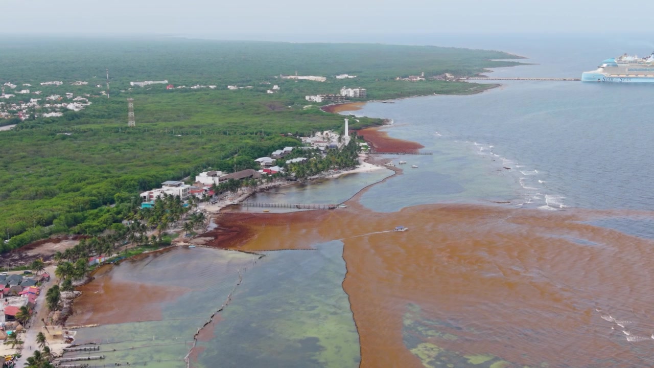 Dronekuvaa sargassum-levän tilanteesta Meksikon Karibialla