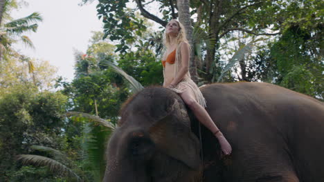 mujer feliz montando un elefante en la jungla explorando el exótico bosque tropical divirtiéndose en una aventura con un compañero animal 4k