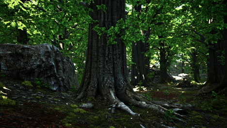 detailed close up view on a forest ground texture with moss