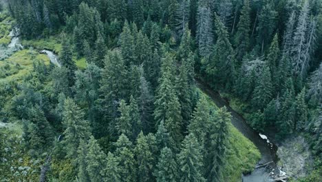 Birds-Eye-View-Ravine-panaramic-spiral-twist-360-degree-dizzy-leftwards-aerial-over-lush-green-river-valley-forest-on-a-summer-day