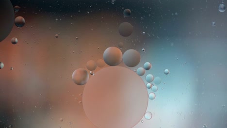 fantastic structure of colorful bubbles. chaotic motion. abstract colorful paint. top view. movement of bubbles in the liquid. oil surface multicolored background. macro