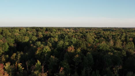Aerial drone flying over a dense green forest along rural landscape during an autumnal evening time