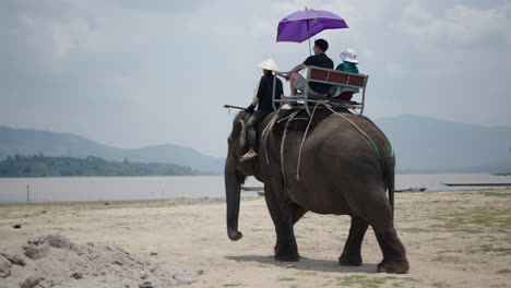 people riding an elephant by a river