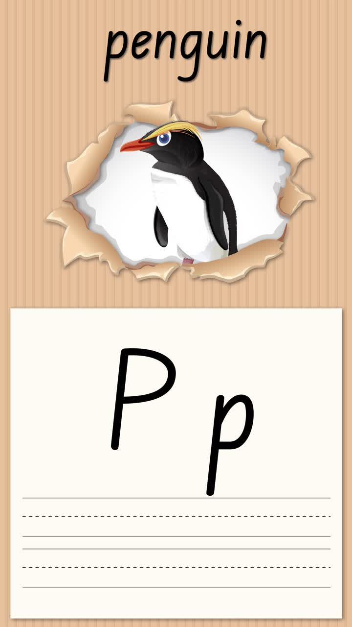 Video educativo animato che insegna la lettera P usando un'illustrazione di un pinguino macaroni e linee per la pratica della scrittura a mano.