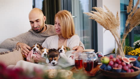 happy married couple relaxing on the veranda of their house, playing with puppies