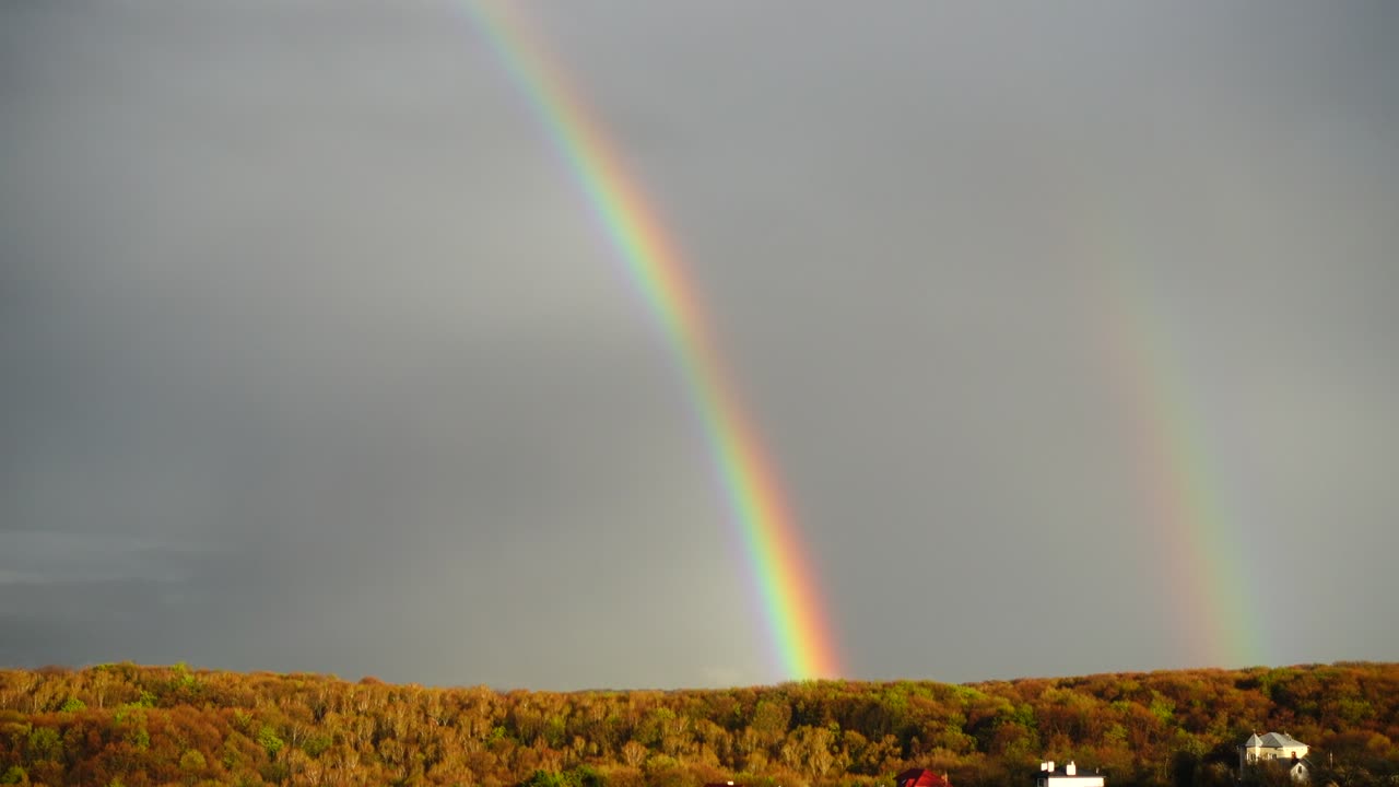 arco iris en el cielo después de la lluvia sobre el bosque.