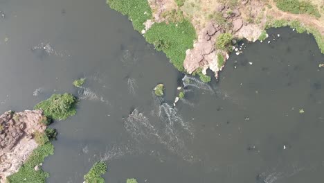 über-Den-Fluss-Fliegen-|-Wasserressource-|-Wasserstrahl-|-Trinkwasser-|-Fluss-Im-Dschungel-|-Ländliches-Indien