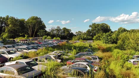 Aerial-dolly-forward-drone-shot-in-car-junkyard-above-rows-of-wrecked-vehicles-with-summer-sunlight-reflections,-4k