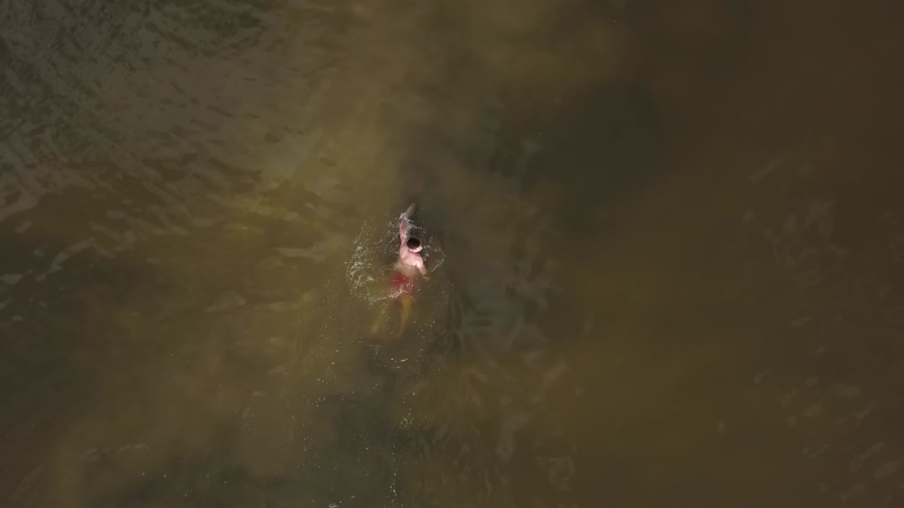 호수에서 수영하는 남자 - 드론 영상