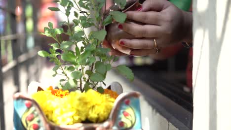 Mujeres-Haciendo-Ofrenda-De-Agua-Tulsi-Y-Flores-Ritual-Del-Festival-Poojan-Diwali-En-La-Mano-Kalash-Thali-De-La-Mañana