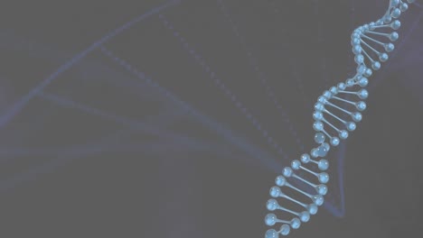 Animation-Der-DNA-Helix-Mit-Linseneffekt-Und-Punkten,-Die-Ein-Abstraktes-Muster-Auf-Schwarzem-Hintergrund-Bilden