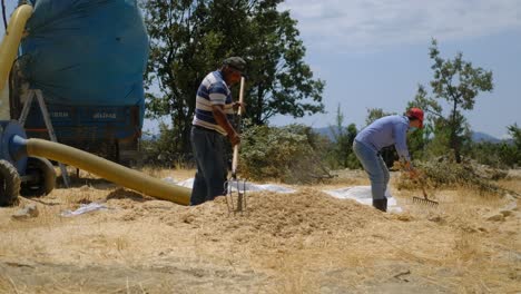 Hay-sprayer-man