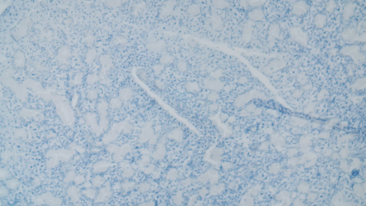 estructura del virus bajo un microscopio 2