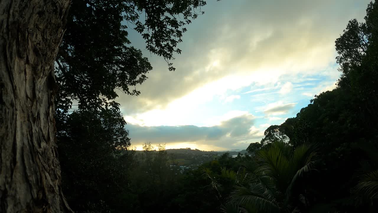 Timelapse showing clouds drifting swiftly across the sky, seen through the thick canopy of a dense forest surrounded by rich green foliage.