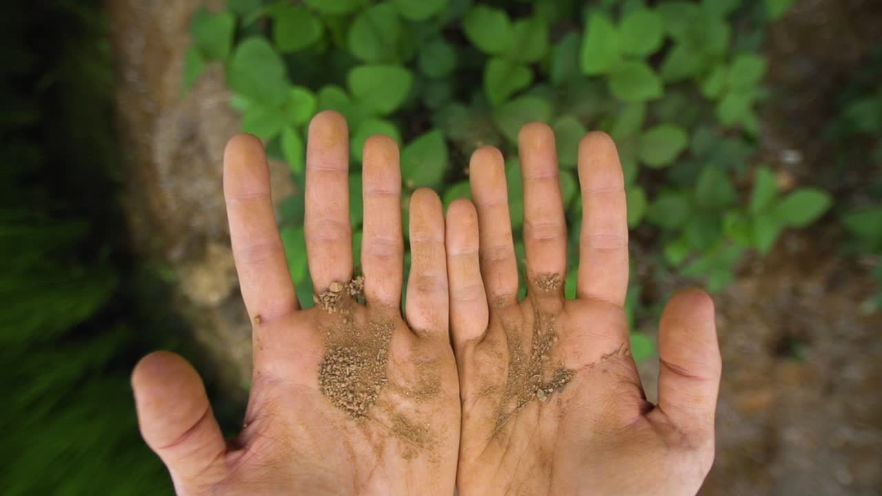 Slow Motion Hands Holding Organic Soil in Nature