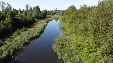 slow flight over blue river in green valley on sunny summer day, aerial