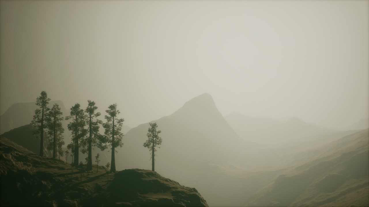 산 기 ?? 에 있는 안개 숲