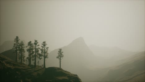 misty forest on the mountain slope