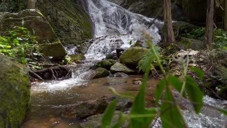 Paisaje-En-Cámara-Lenta-Dentro-De-Una-Exuberante-Jungla-Verde-Con-Cascada