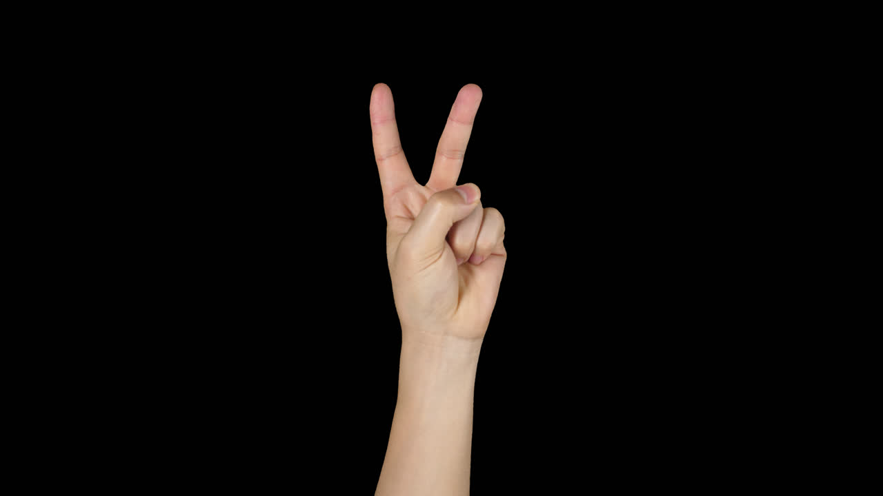 평화 의 표시 를 하는 사람