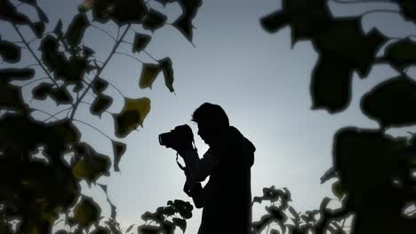 Silhouette-Eines-Fotografen,-Der-Die-Kamera-In-Der-Hand-Hält,-Die-Fotos-überprüft-Und-Dann-Die-Punkte-Zum-Fotografieren-Festlegt