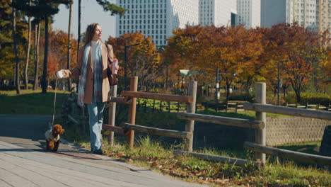 a stylish woman is walking her small toy poodle dog in a park during autumn, holding a drink in a tumbler and enjoying the scenery, with tall buildings in the background - slow motion