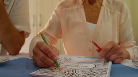 senior woman drawing with color pencil