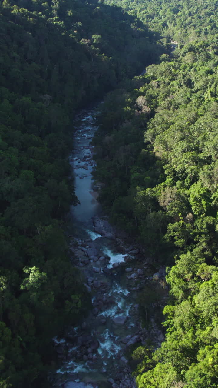 Ripresa aerea verticale che segue il fiume Jinkalmu, nella foresta pluviale di Daintree, Australia
