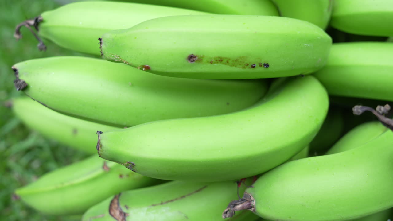 Detailed close-up shot of vibrant, unripe green bananas in a bunch. The frame captures the smooth textures and bright color in natural lighting, emphasizing freshness and organic appeal