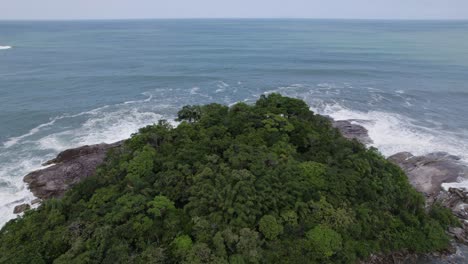 drone flies over trees and reveals the acean ahead