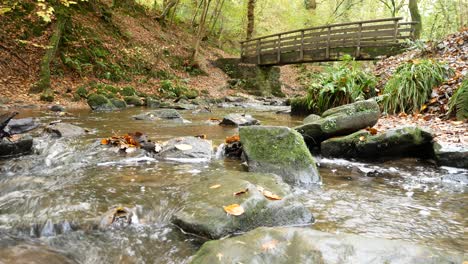 wooden bridge crossing natural flowing stream in autumn forest woodland wilderness dolly left