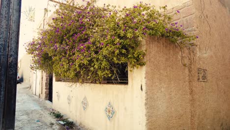 an old village in the middle of the desert with the style of arab house