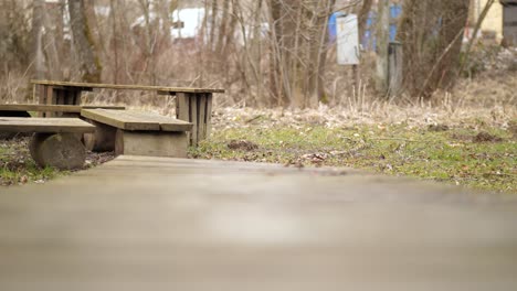 a fluffy wolfsspitz, also known as keeshond, runs over a bridge out of wook