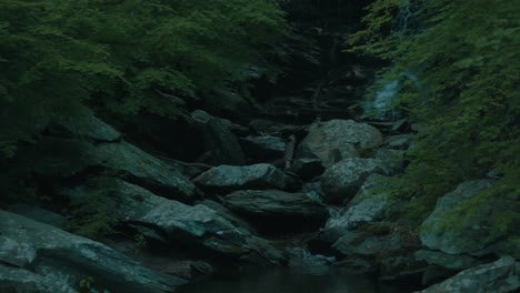 forest stream with rocks, pan from waterfall to trees