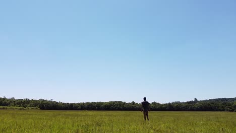 lonely man walking whrough whe green fields