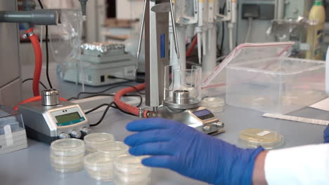 laboratorio de ciencias, científico técnico que trabaja en el laboratorio, usando placas de petri, máquinas quemadoras y equipos y herramientas de biotecnología, mano con guantes de látex