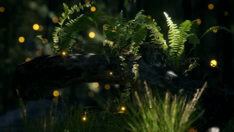 horizontally bending tree trunk with ferns growing, and sunlight shining