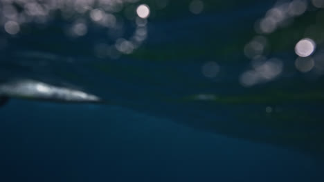 blurred underwater waves