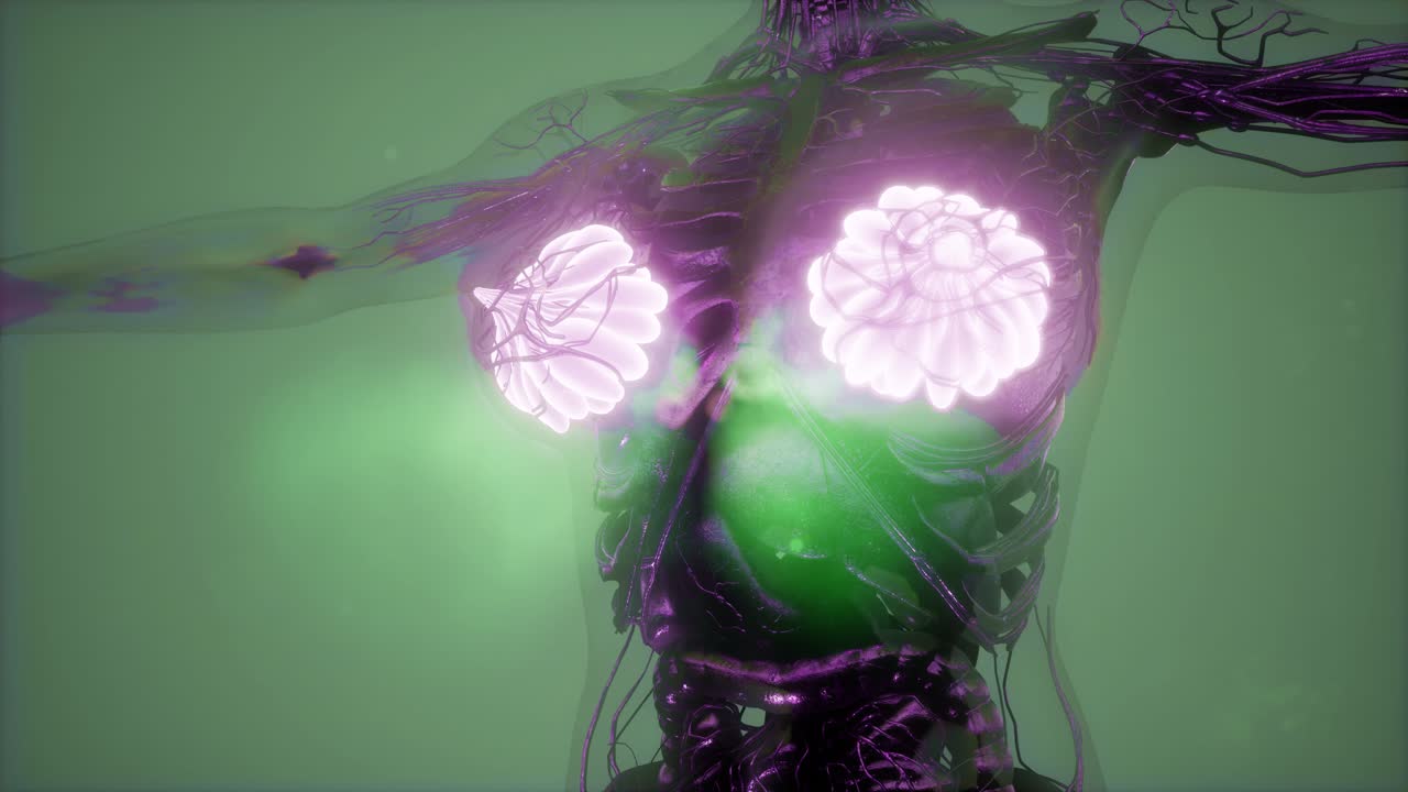 человеческое тело с видимым свечением молочной железы