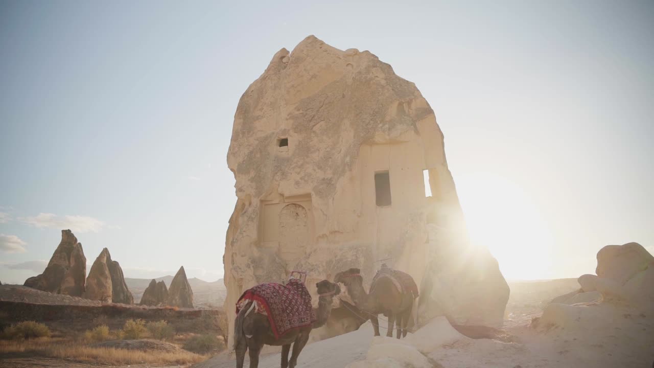 camellos descansando en un pueblo con casas cueva de piedra durante el día soleado en capadocia, turquía